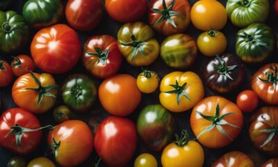 top tomatoes for delicious dishes
