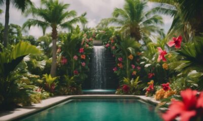 tropical oasis pool plants