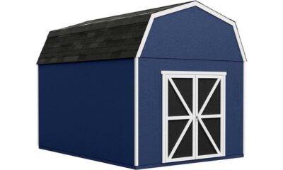 detailed review of braymore 10x16 shed