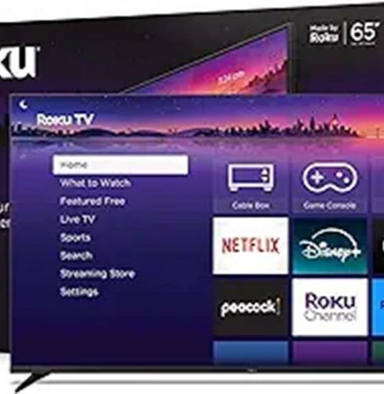 detailed review of roku