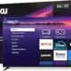detailed review of roku