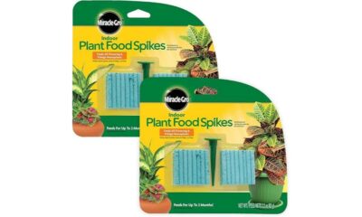 effective plant food spikes