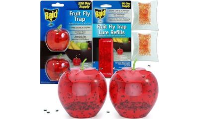 fruit fly trap effectiveness