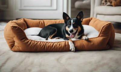 furniture materials for dogs