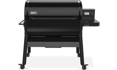 highly rated weber smokefire grill