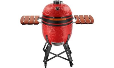 kamado grill review details
