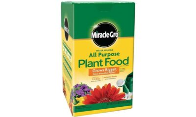 plant food promotes growth