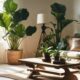 home decor plants selection