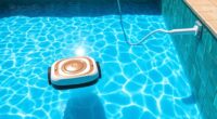 efficient pool cleaning devices