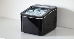 small efficient ice makers
