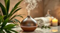 top 15 home spa diffusers
