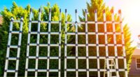 top home extension ladder options