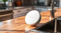 top leak detectors for home