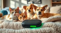 top pet gps devices