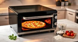 top pizza oven recommendations