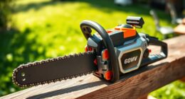 top 15 portable battery chainsaws