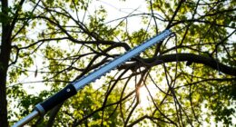 top pole saws for cleanup
