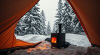 top tent stove picks