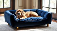 luxury dog beds selection