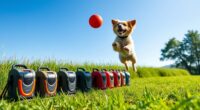 top dog ball launchers