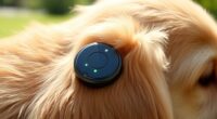 top pet gps trackers 2025