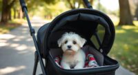 top small dog stroller options