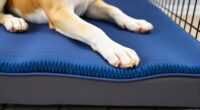 dog orthopedic crate pads