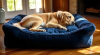 large breed dog beds