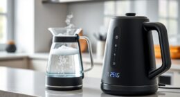 precise temperature electric kettles