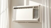 quiet window ac options