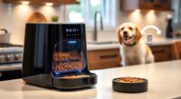top automatic pet feeders