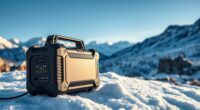 top low temp portable power stations