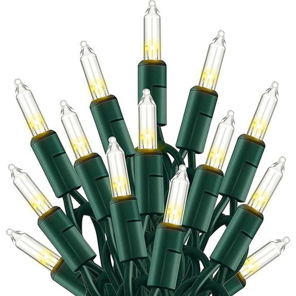 TW SHINE 20FT 100 LED Waterproof Christmas Lights