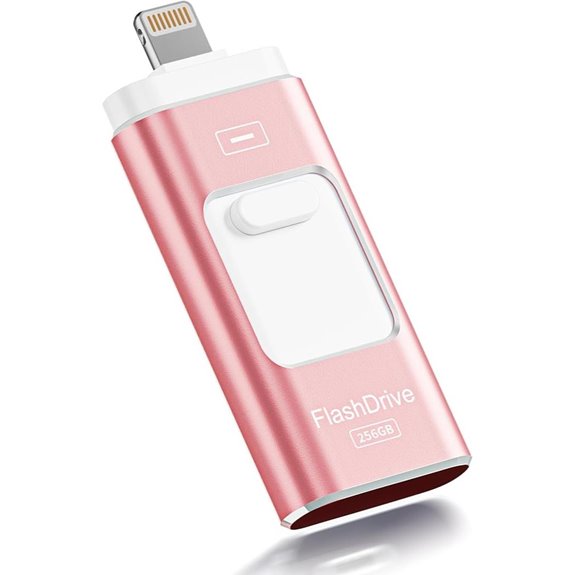 13 Best Storage Solutions for Content Creators in 2026 11 Apple MFi 256GB Flash Drive for iPhone and Devices