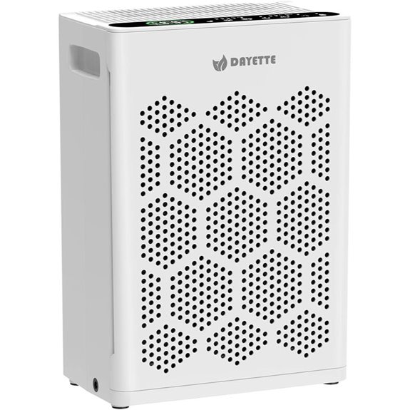 Dayette Large Room Air Purifier with HEPA Filter