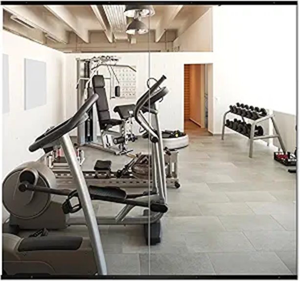 Delma Home Gym Mirror 54