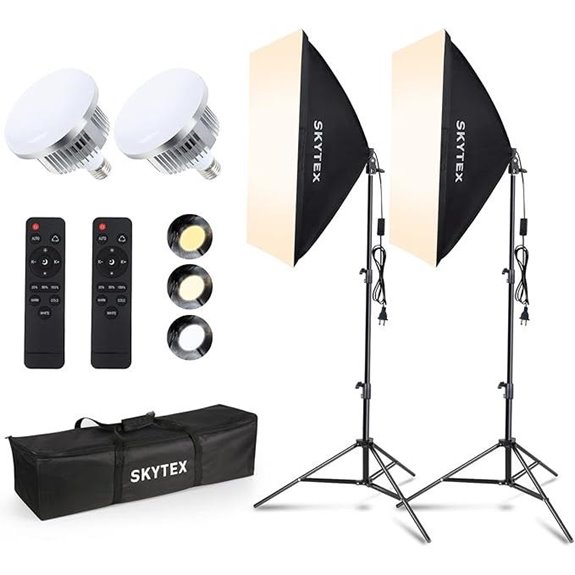 dual softbox lighting kit