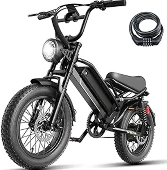 Electric Fat Tire Electric Bike for Adults