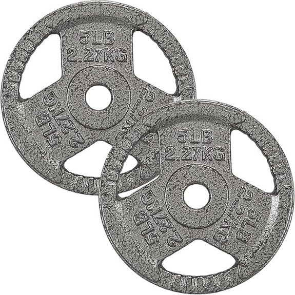15 Best Cast Iron Weight Plates for Strength Training in 2026 16 Cast Iron Weight Plate for Strength Training
