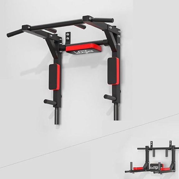 Heavy Duty Wall-Mounted Pull Up Bar