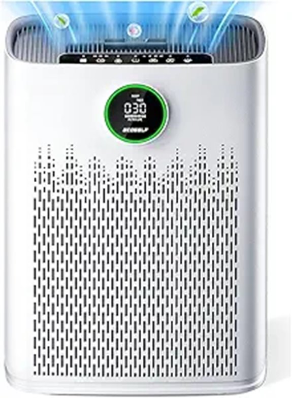 Air Purifier for Large Rooms with HEPA & Aromatherapy