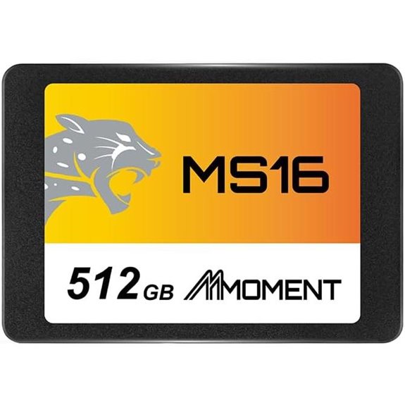 MMOMENT MS16 512GB SATA III SSD for PC