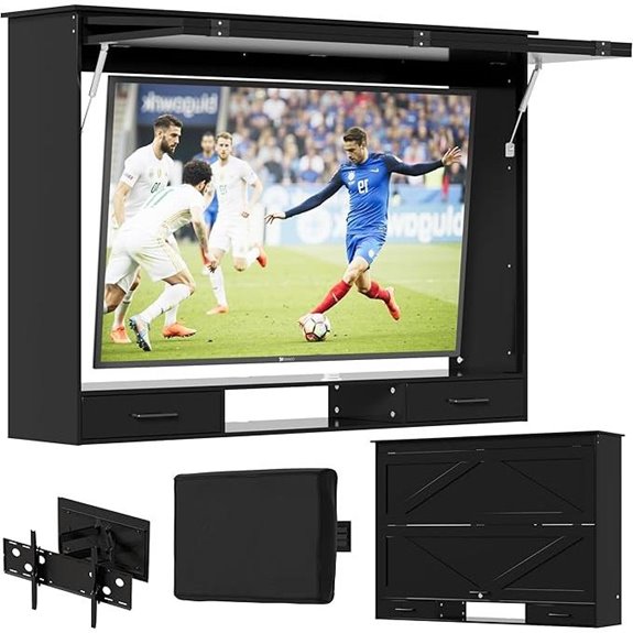 PAKASEPT Outdoor TV Enclosure for 55-58 Inch TVs