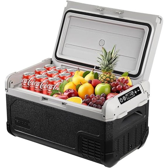 12V Portable Car Fridge Freezer for Travel
