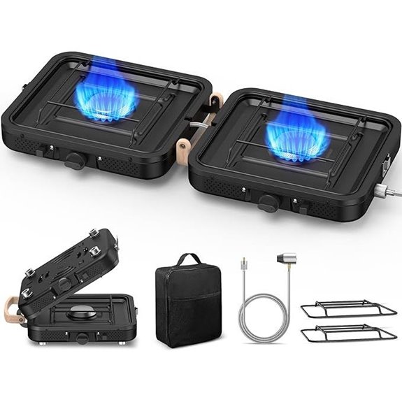 Portable 2-Burner Camping Gas Stove with Carrying Bag