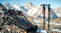 top carbon trekking poles