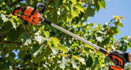 top cordless tree trimmers