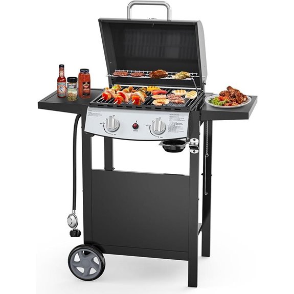 15 Best Propane Gas Grills for Your Outdoor Kitchen in 2026—Expert Picks and Reviews 8 2-Burner Propane Gas BBQ Grill with Side Shelves