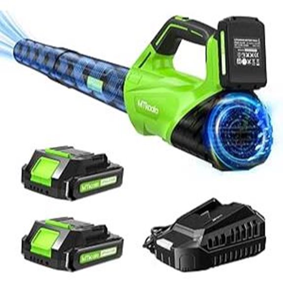 Cordless Leaf Blower with Batteries & Fast Charger