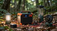 battery size versus appliance needs